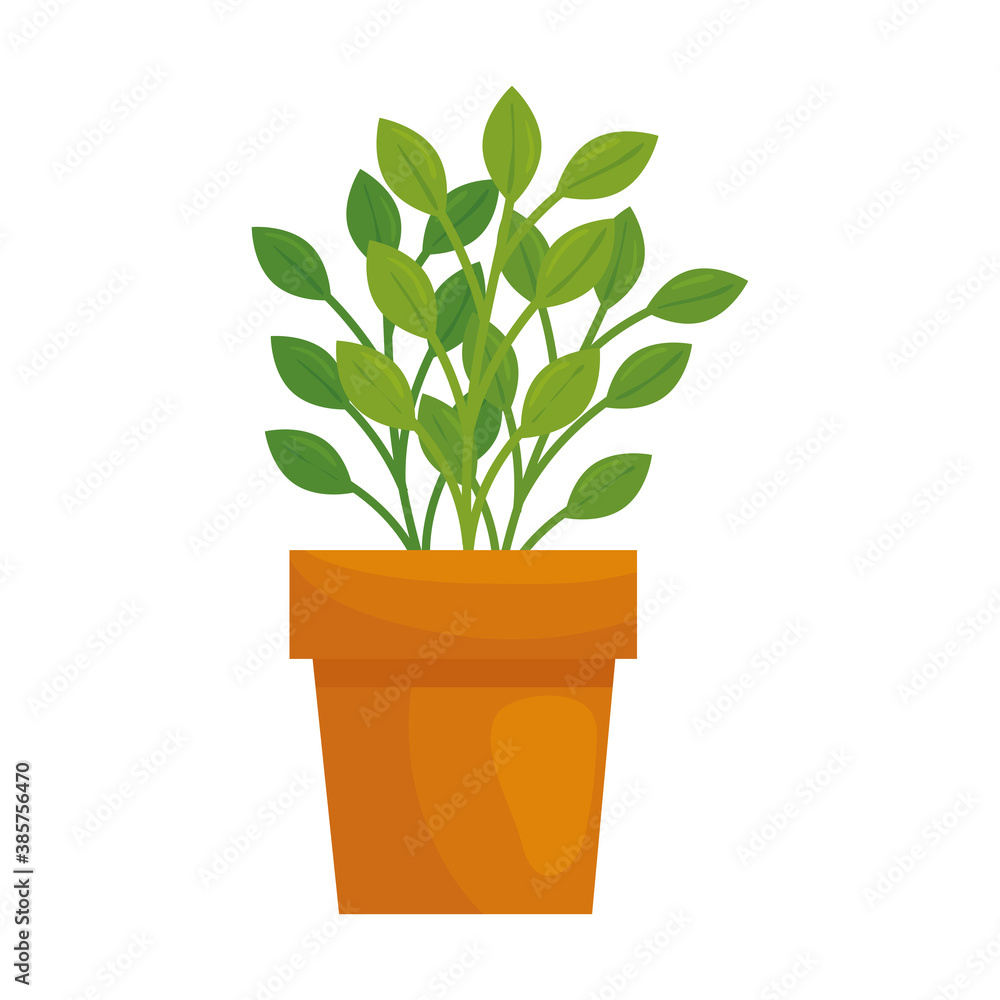 Plant inside pot design of Floral nature garden ornament botany decoration beauty and flora theme Vector illustration