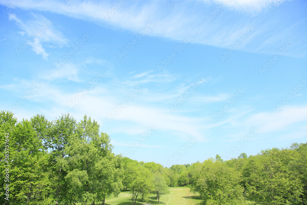 Obraz premium 新緑と青空