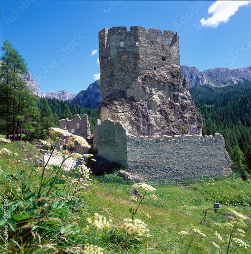 Livinallongo del Col di Lana. Belluno. Resti del Castello di Andraz photo