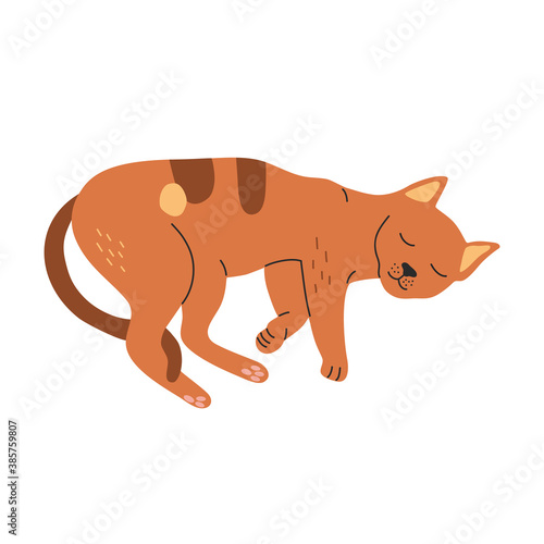 Cute sleeping orange cat  hand drawn vector illustration in cartoon style  isolated on white background.