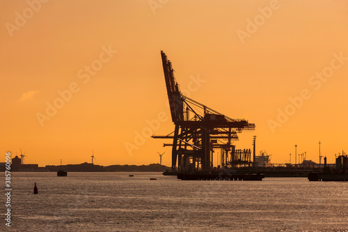 Container cranes in a harbor in the sunset