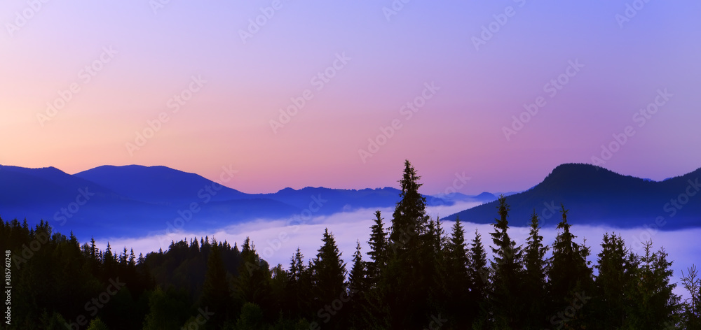 Panoramic photo. Mountain landscape at dawn. dark silhouettes of mountains and firs and fog in the valley.