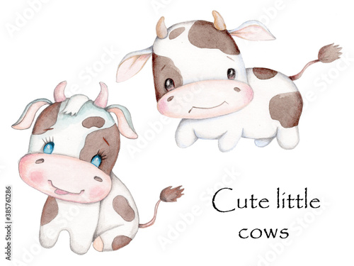 Two cute calfs, cow  and bull.  Watercolor hand drawn isolated illustration. © Yelena