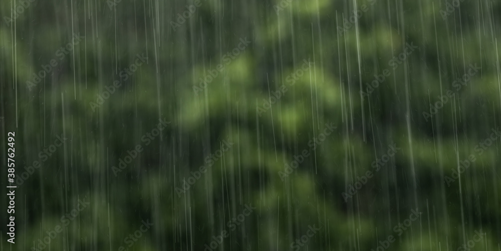 Rain falling from the sky, bringint the very needed humidity to the nature