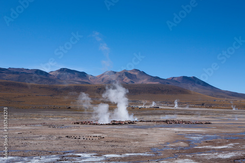 Geothermal Springs, Atacama Desert, Chile 
