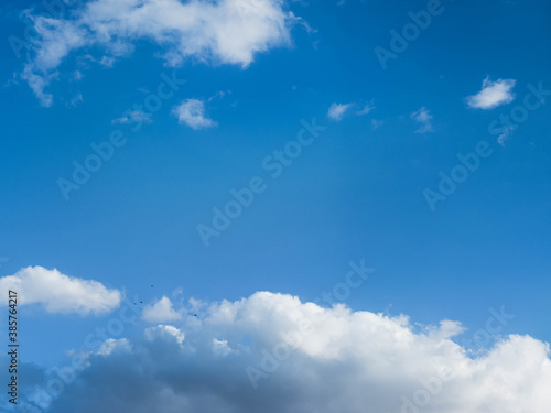 Fototapeta Naklejka Na Ścianę i Meble -  Amazing sky with some birds flying