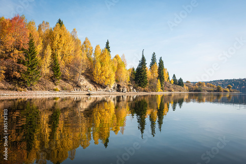 Autumn landscape  picturesque forest with a mirror symmetrical reflection in the river of yellow  Golden foliage. Bright colors of autumn on the trees.