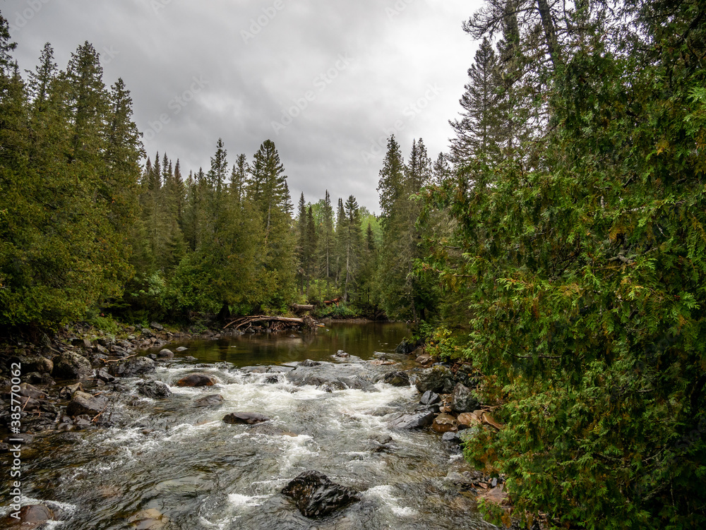 A rainy day in the trail of the Gaspesie National Park in Quebec, Canada. Hiking through the mist and rainy clouds, A rainy day in the trail of the Gaspesie National Park in Quebec, Canada. Hiking through the mist and rainy clouds,