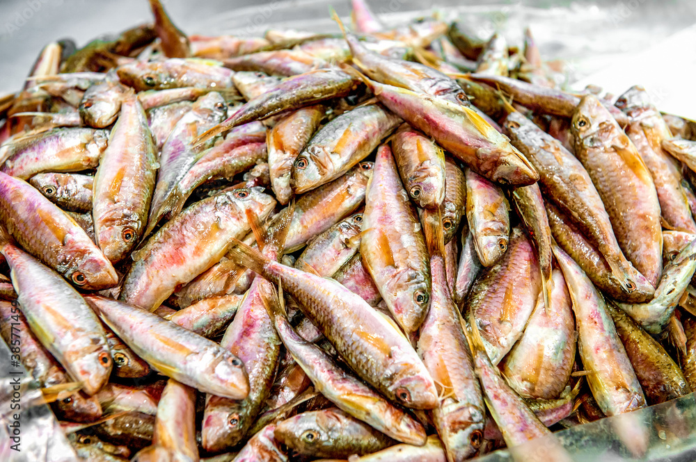 Surmullet Red mullet on ice at the fish and seafood market. Mediterranean fish and it is also the best ingredient of the diet. small delicious sea fish Surmullet Red mullet on ice at the fish and seafood market. Mediterranean fish and it is also the best ingredient of the diet. small delicious sea fish