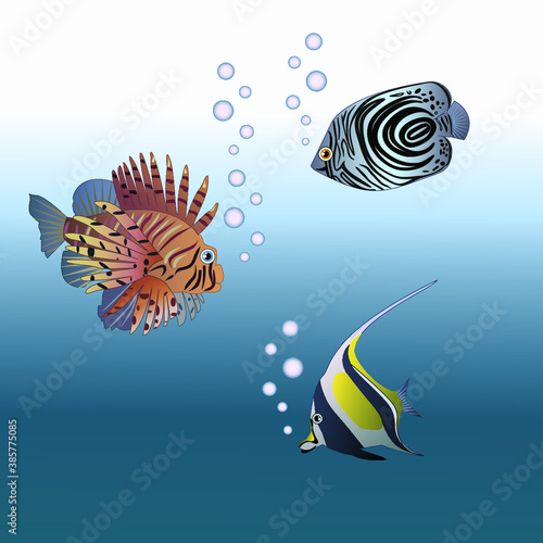 vector illustration with exotic marine fish for your design
