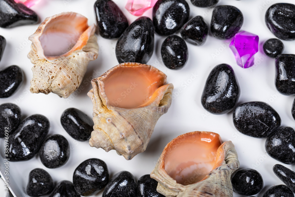 Bright background of their colored stones and seashells. Bright background of their colored stones and seashells.
