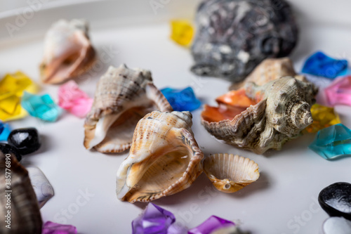 Bright background of their colored stones and seashells.