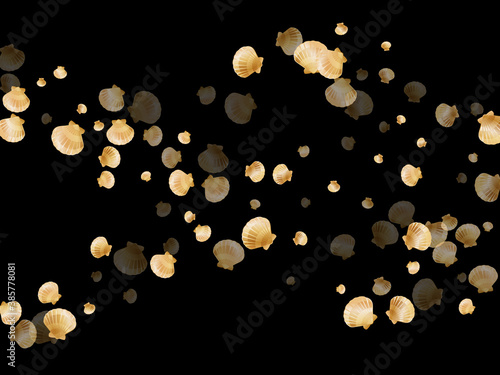 Gold chic seashells vector illustration, marine mollusks shells
