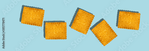 tasty biscuit isolated ob blue background