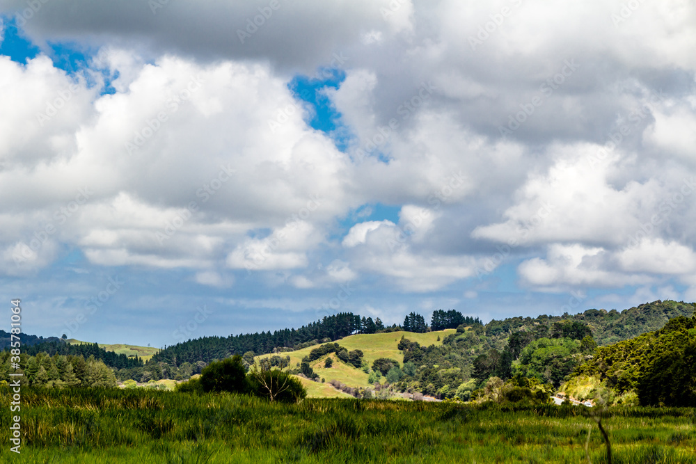 Wide open vistas around Dargaville, New Zealand