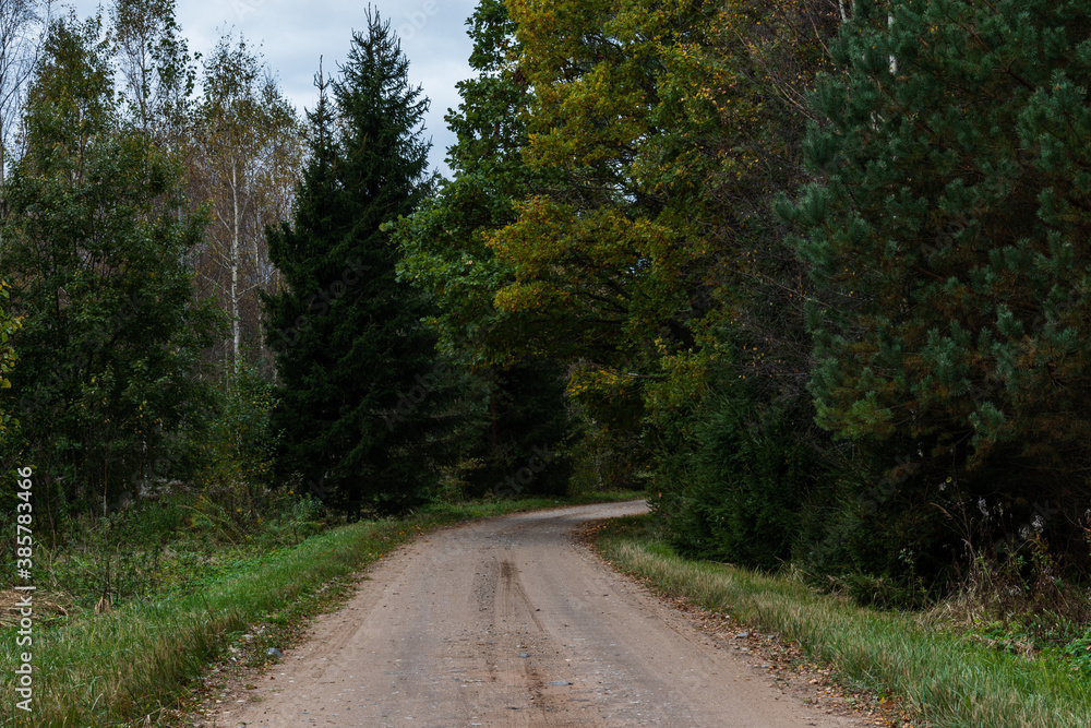 Fototapeta premium Dirt road next to forest. Pathway.