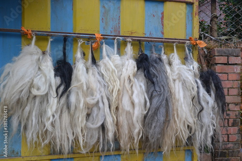 Hindu ritual equipments called 'chamar' hanging on a wall photo