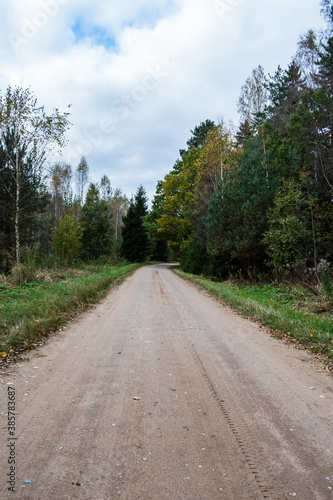 Dirt road next to forest. Pathway.