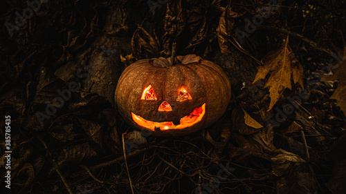 Real Halloween Pumpkin in the forest © Santi