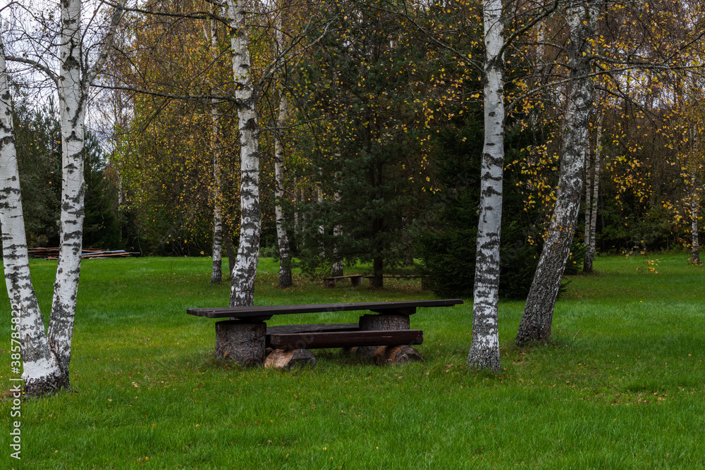 Naklejka premium Camping spot next to forest.