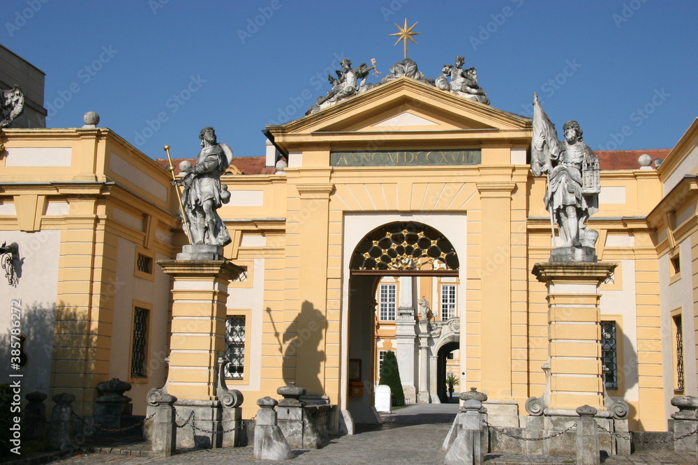 Fototapeta premium Melk