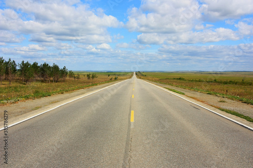 Empty asphalt road in the steppe © kos1976