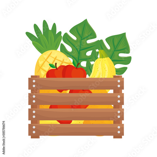 Gardening fruits basket design, garden planting and nature theme Vector illustration