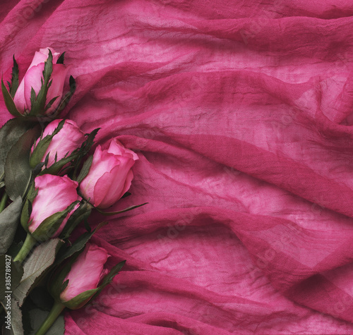 Pink rose flowers on folded...