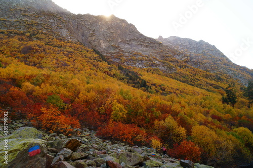 mountain landscape, forest, river, autumn, lake, stones, rocks