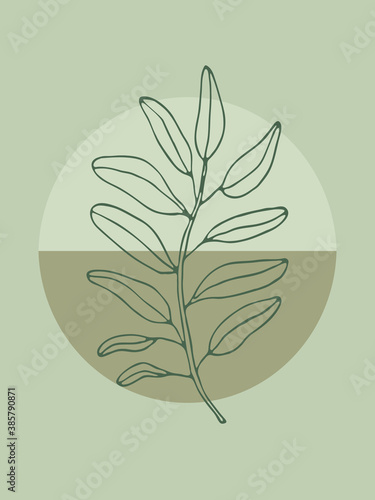 Trendy mid century art for boho home decor, posters design, invitations. Sage green modern vector illustration with geometric shapes and leaves line drawing.