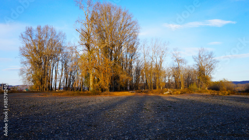 autumn in the park