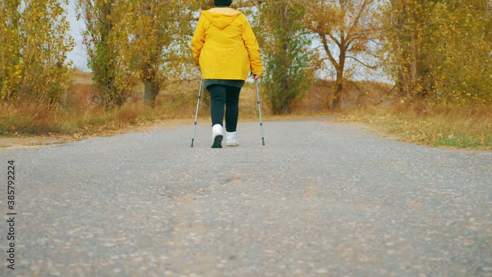 Senior woman making nordic walking in the autumn forest. Nordic walking race on autumn trail. Retired People Healthy Lifestyle Concept. Senior woman making nordic walking in the autumn forest. Nordic walking race on autumn trail. Retired People Healthy Lifestyle Concept.