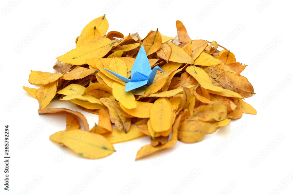 A blue origami bird on fall leaves A blue origami bird on fall leaves