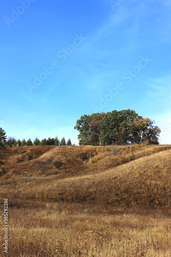 Beautiful autumn landscape and blue sky  vertical view. Rural background. Nature landscapes concept.