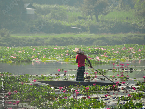 person boating through lily flowers