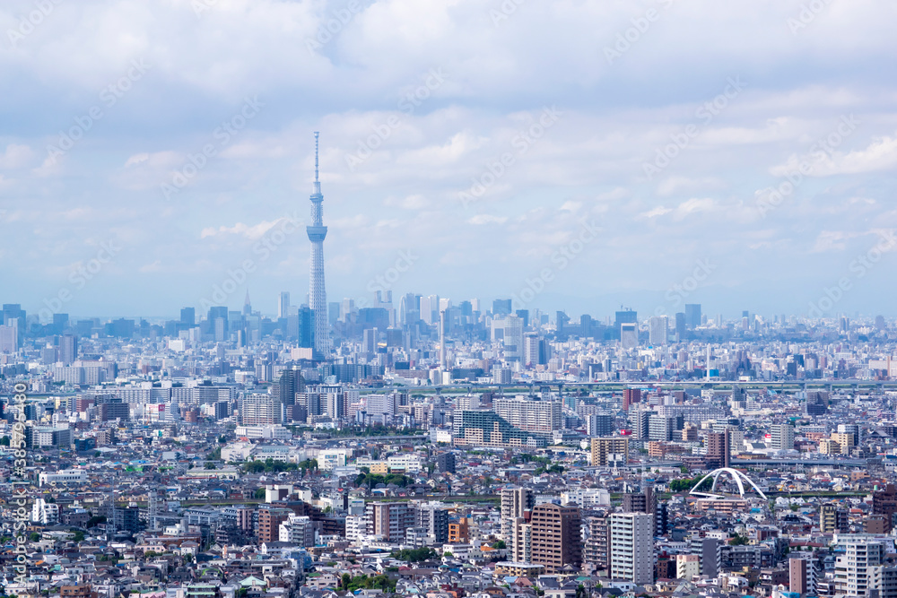 東京スカイツリーと都心のビル群の眺望