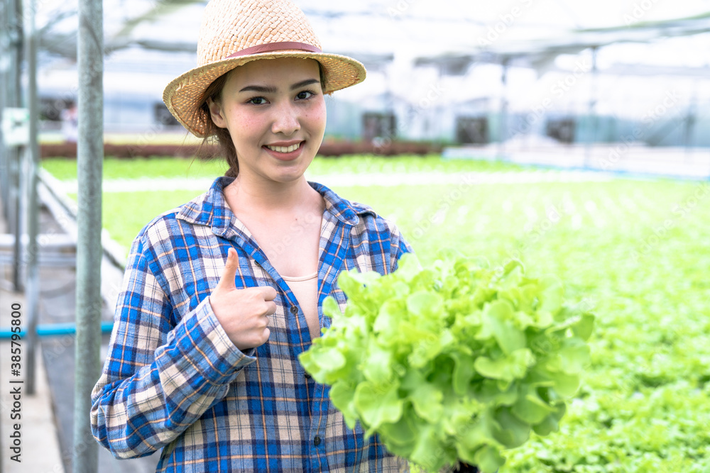 Beautiful Asian woman is smiling and harvesting vegetables from a hydroponic farm, Concept of growing organic vegetables and healthy food.