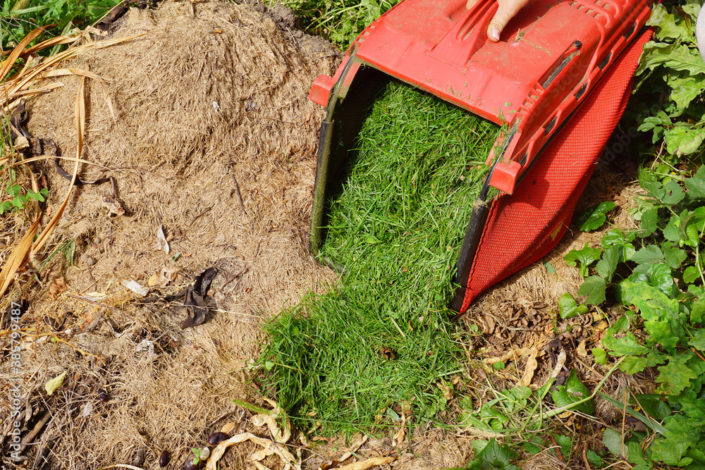 Composting grass clippings. Dumping grass from the mower bin. foto de