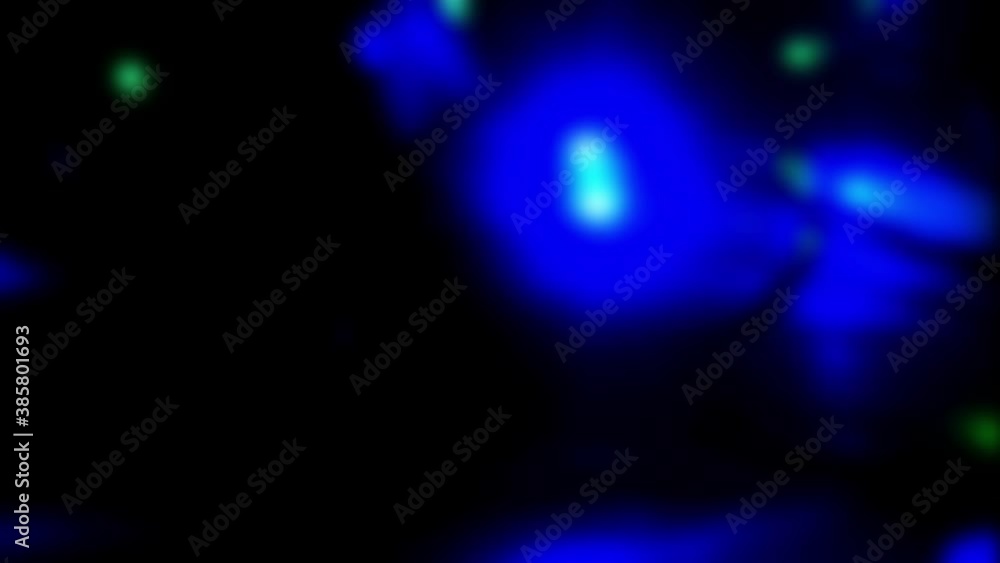 Christmas lights blurred video. Cozy mood in the evening. Festive time. Holidays concept.
Christmas lights blurred video. Cozy mood in the evening. Festive time. Holidays concept.