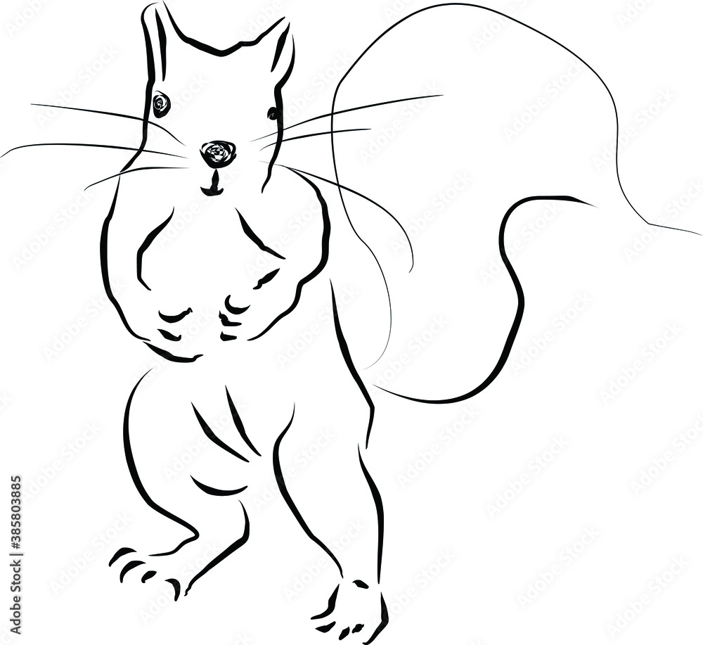 Obraz premium Vector illustration sketch funny squirrel standing. Comic animal