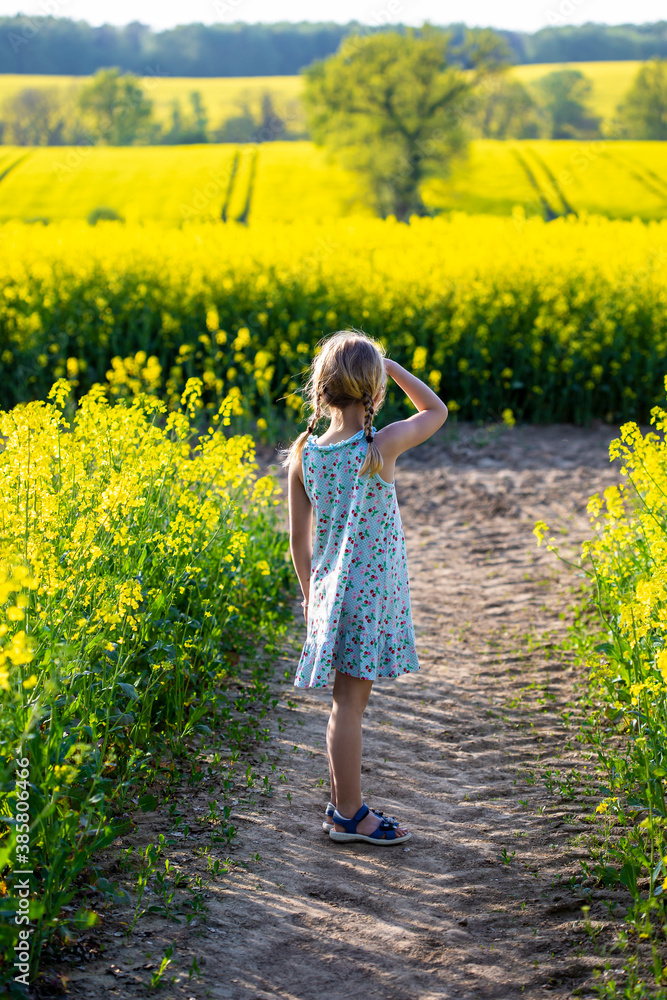 Girl standing in farm of rapeseed field Girl standing in farm of rapeseed field