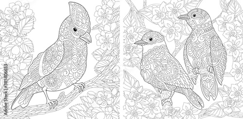 Coloring page. Birds in floral garden. Line art drawing for adult or kids coloring book in zentangle style. Vector illustration.