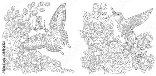 Coloring page. Butterfly and hummingbird. Line art drawing for adult or kids coloring book in zentangle style. Vector illustration.