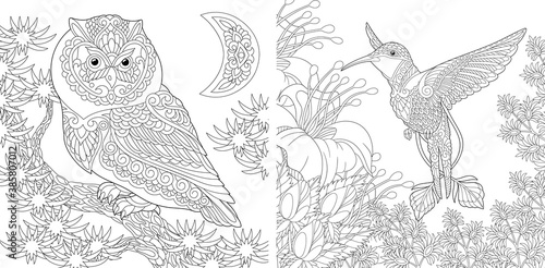 Coloring page. Owl and hummingbird. Line art drawing for adult or kids coloring book in zentangle style. Vector illustration.