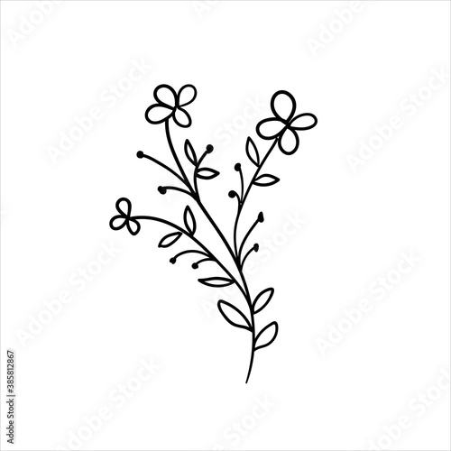 Doodles Herbs and flowers  hand-drawn flowers  floral set of wildflowers and herbs  vector objects isolated on a white background.