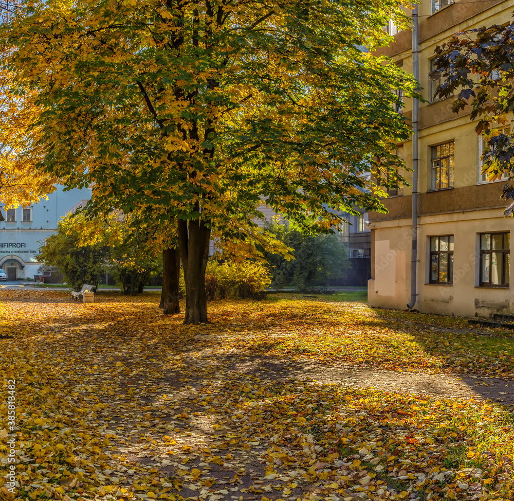 Naklejka premium Walk along the autumn prospect in the city .