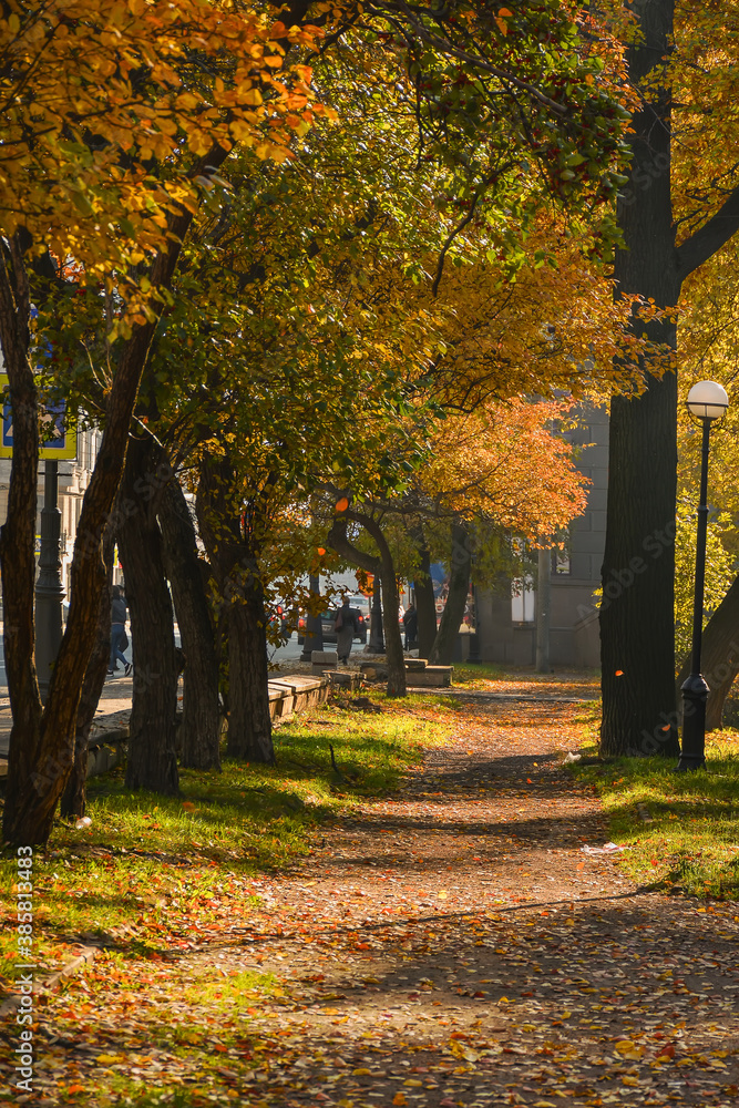 Naklejka premium Walk along the autumn prospect in the city .