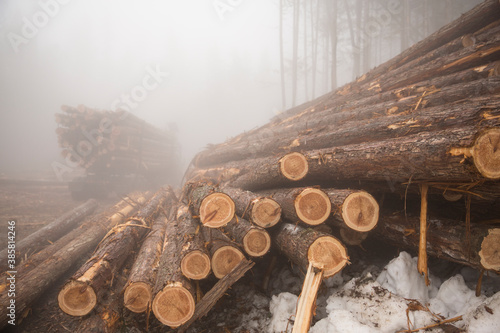 View of log truck and stacked logs in winter forest photo