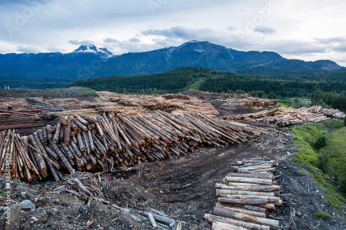 Logging in lumber yard in Revelstoke
