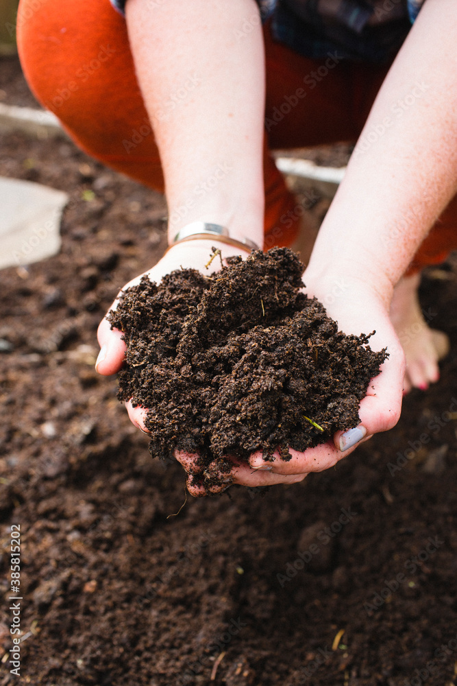 Low section of woman holding garden soil Low section of woman holding garden soil